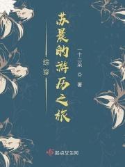 综穿苏晨的游历之旅txt