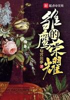 雏鹰的荣耀无删减