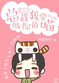 总裁我要了