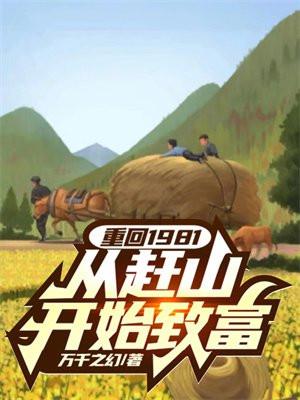 回到1981免费阅读
