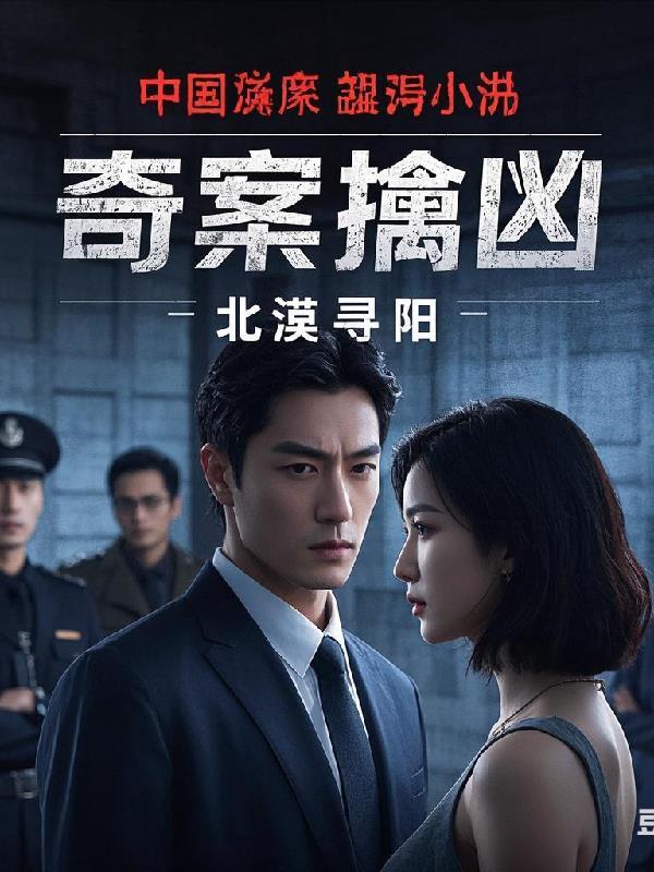 有个电视剧叫什么奇案