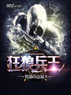 狼兵狂卫笔趣阁