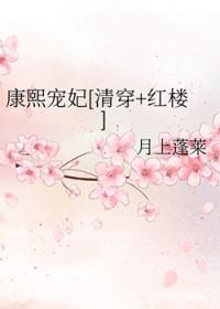 康熙宠妃[清穿+红楼