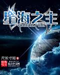 星之海给谁用