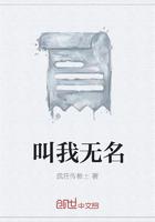 我无名份 什么歌