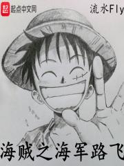 海贼之路飞